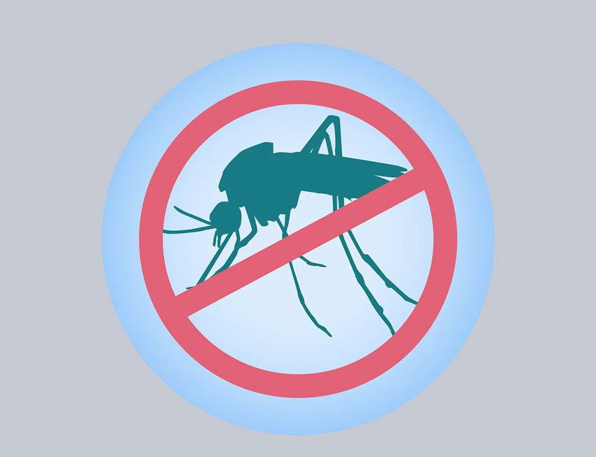 Mosquito_site_graphics_800px